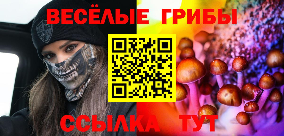 Псилоцибиновые грибы ЛСД Лосино-Петровский