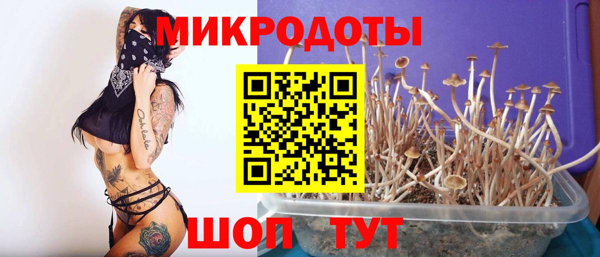 Лосино-Петровский  Галлюциногенные грибы Psilocybine cubensis  Вход с VPN 